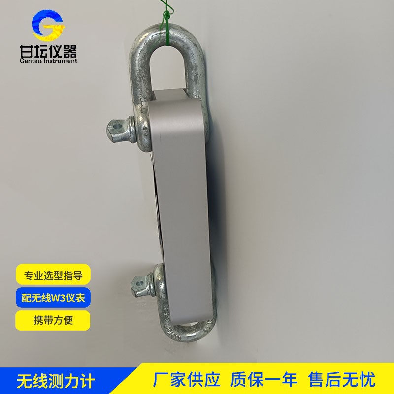 600t测力仪在大型核电反应堆冷却剂泵测试中的应用：满足安全要求