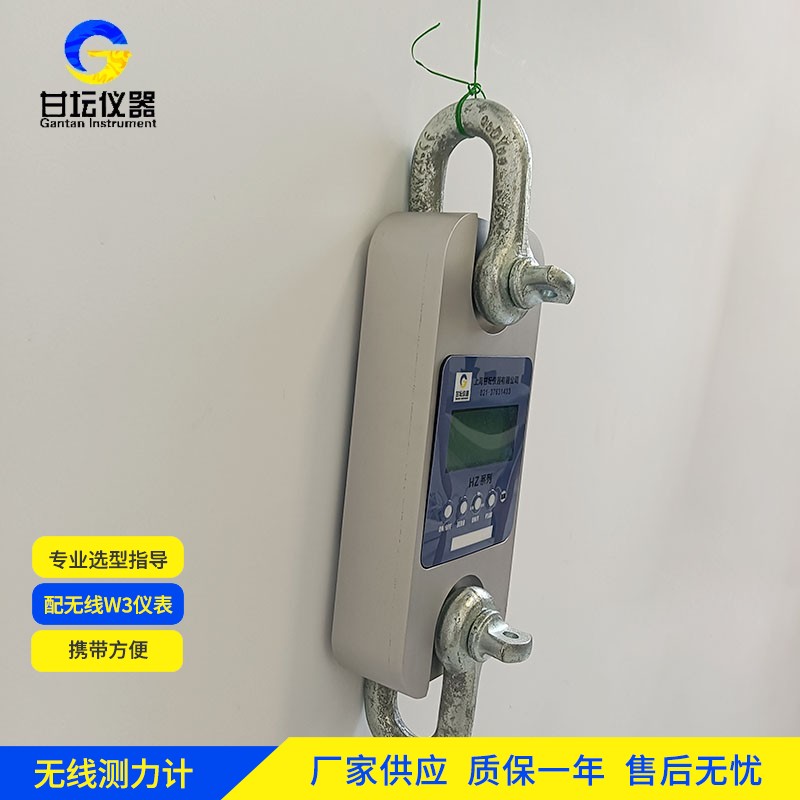 50t 测力仪参数：解析说明​