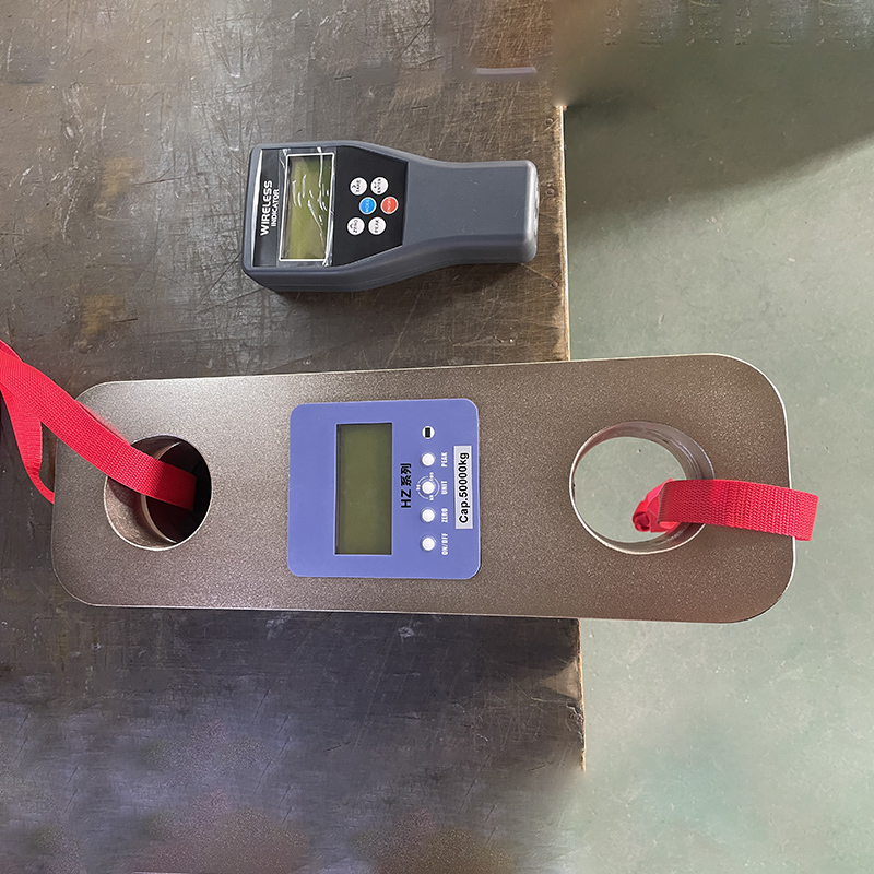 120t测力计品牌选择指南