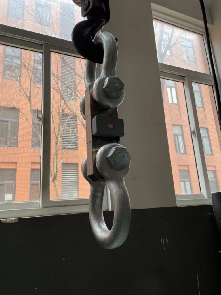 12吨防爆测力计 高危场景安全