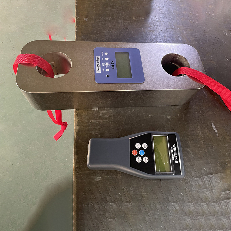 25t测力计品牌对比推荐